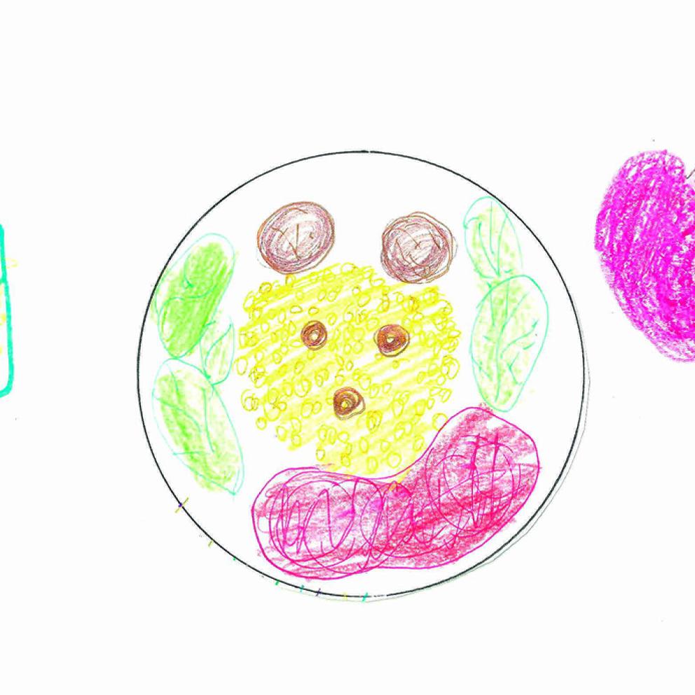 Dibujo 1ºEdición Imagine Food