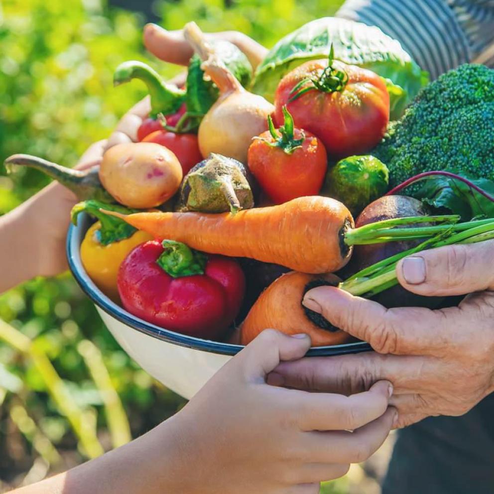 Alimentación saludable