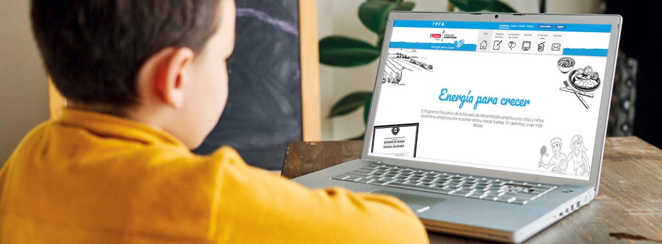 PROGRAMA EDUCATIVO EN ALIMENTACION Y HÁBITOS DE VIDA SALUDABLES