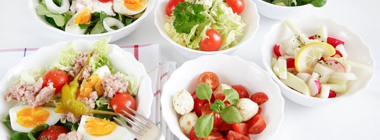 Conclusiones estudio de la saciedad.