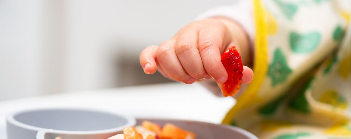 LOS HÁBITOS SALUDABLES DE ALIMENTACIÓN EN LA INFANCIA TIENEN UNA INCIDENCIA POSITIVA EN LA SALUD DURANTE LA MADUREZ