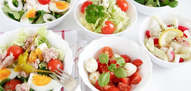 Conclusiones estudio de la saciedad.