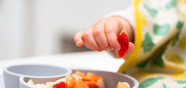 LOS HÁBITOS SALUDABLES DE ALIMENTACIÓN EN LA INFANCIA TIENEN UNA INCIDENCIA POSITIVA EN LA SALUD DURANTE LA MADUREZ